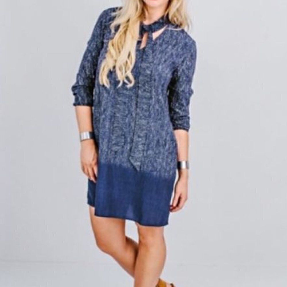 BB dakota S carrera ombré shift dress